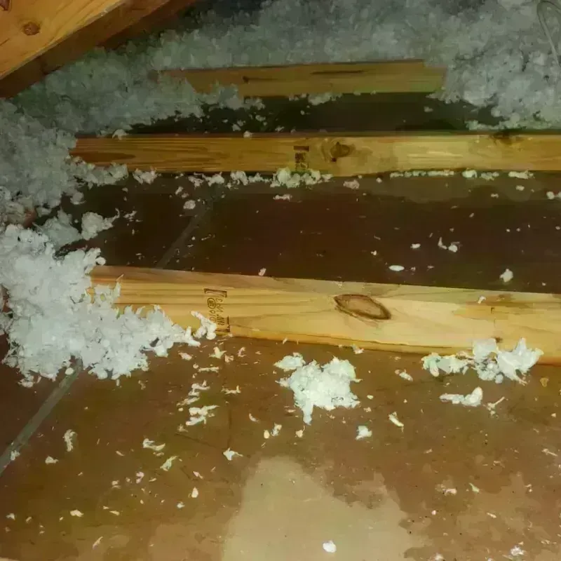 Attic Water Damage in Sherburn, MN